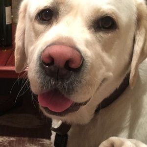 Meet your Posher, Caitlin